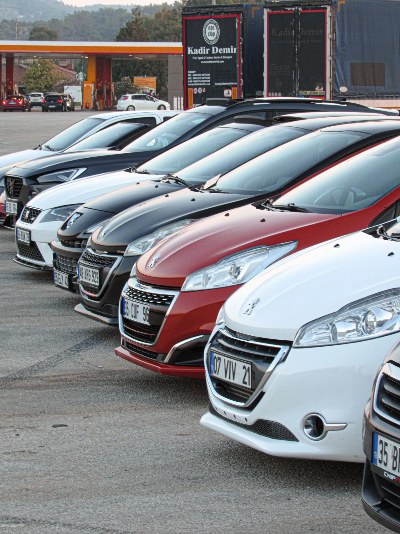 Used vehicles lined up for buyer comparison