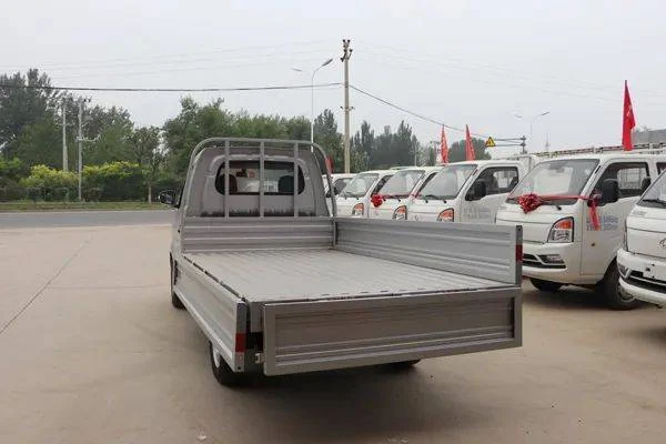 2026 Xinbao T3 PLUS open cargo box