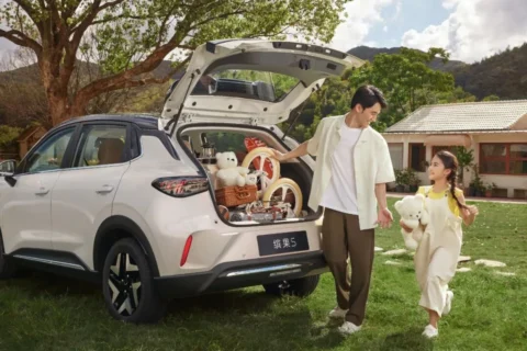 Wuling Bingo S rear luggage area and open tailgate in a family outdoor setting